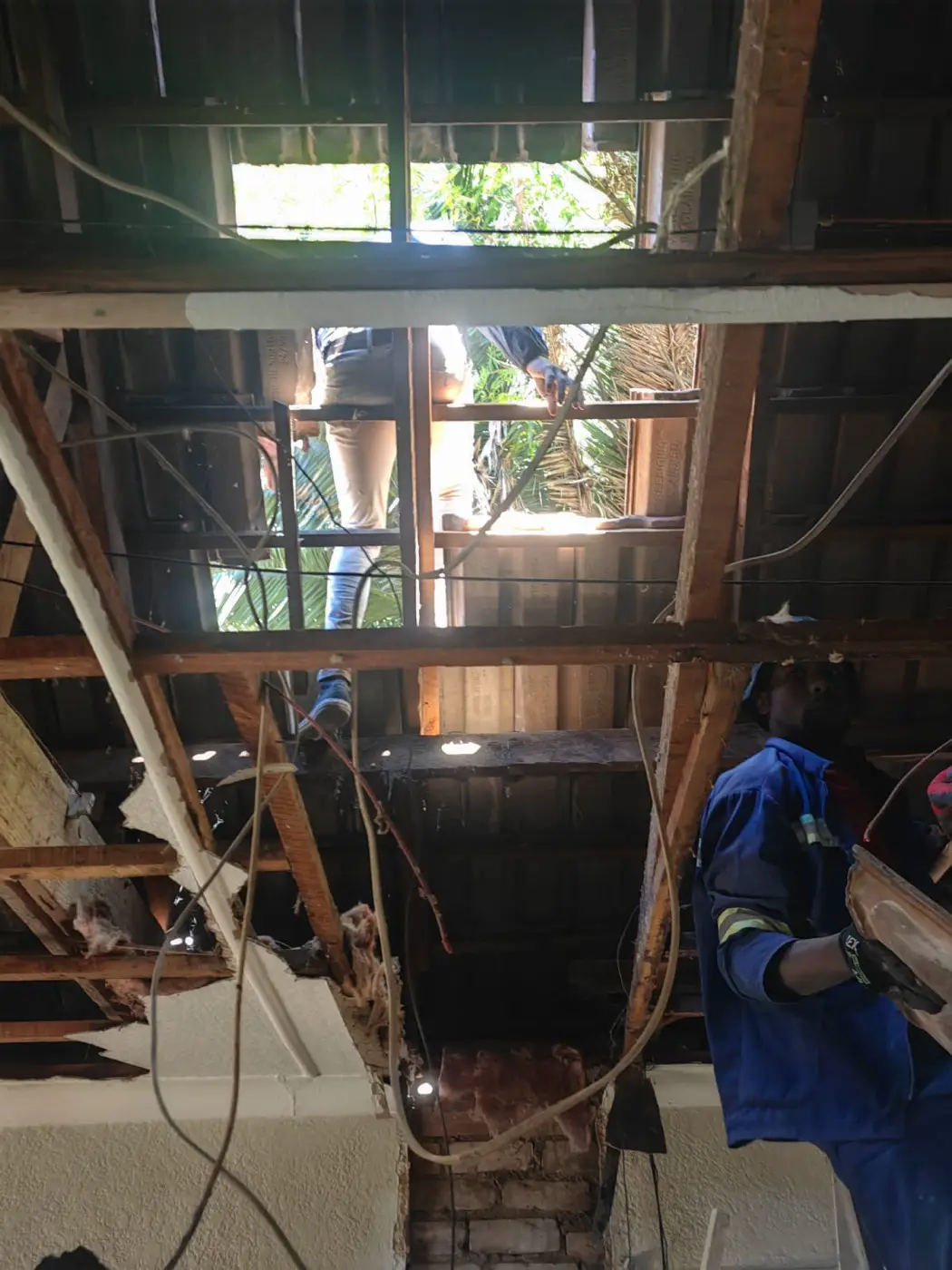 Looking up through the open roof timbers while a builder works above