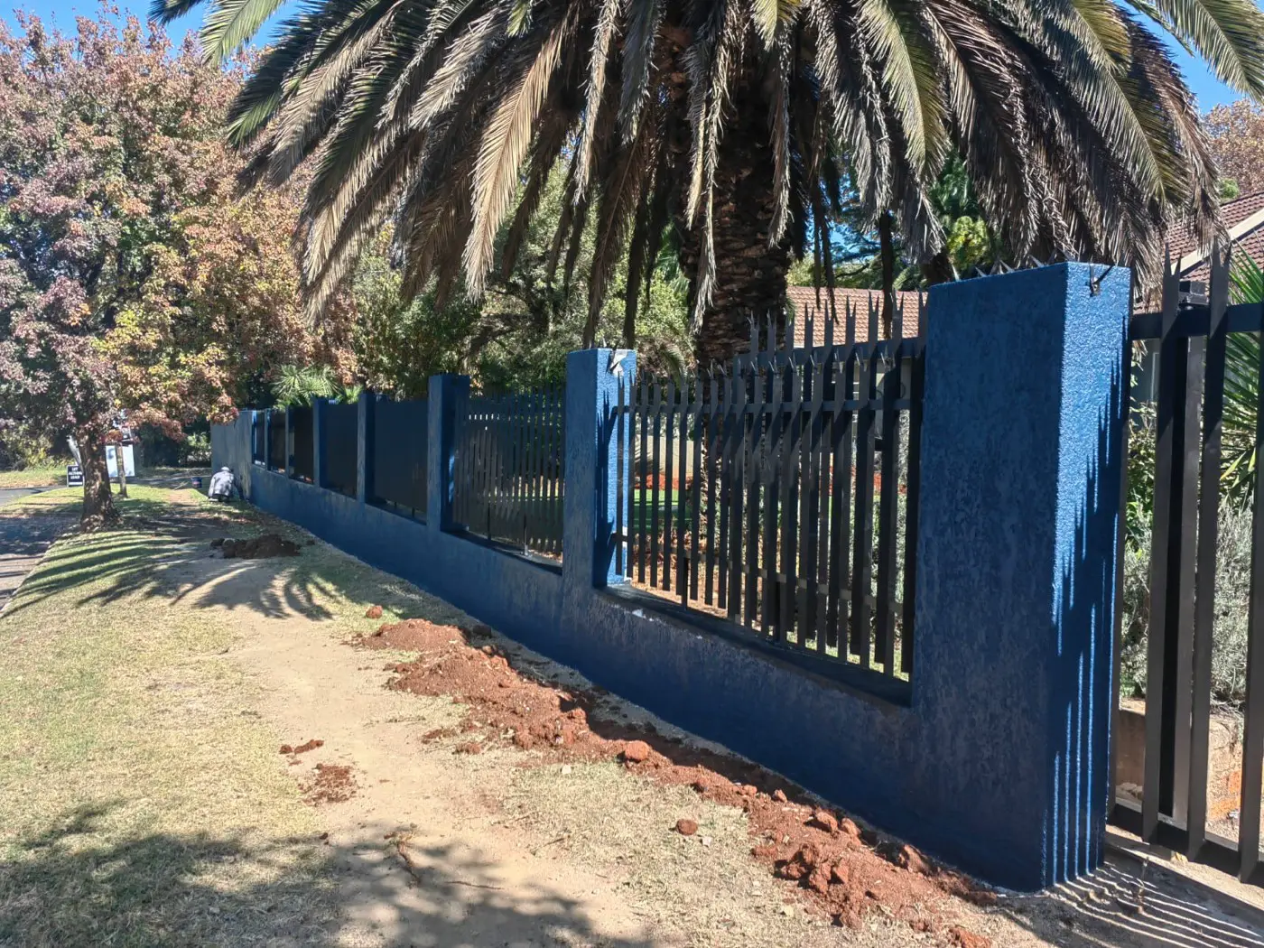 Dark blue wall with black palisade panels under a palm tree